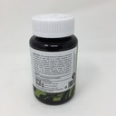 Danatura | Capsulas Veganas de Matcha | 60 capsulas