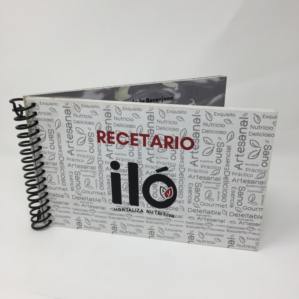 Recetario ilo